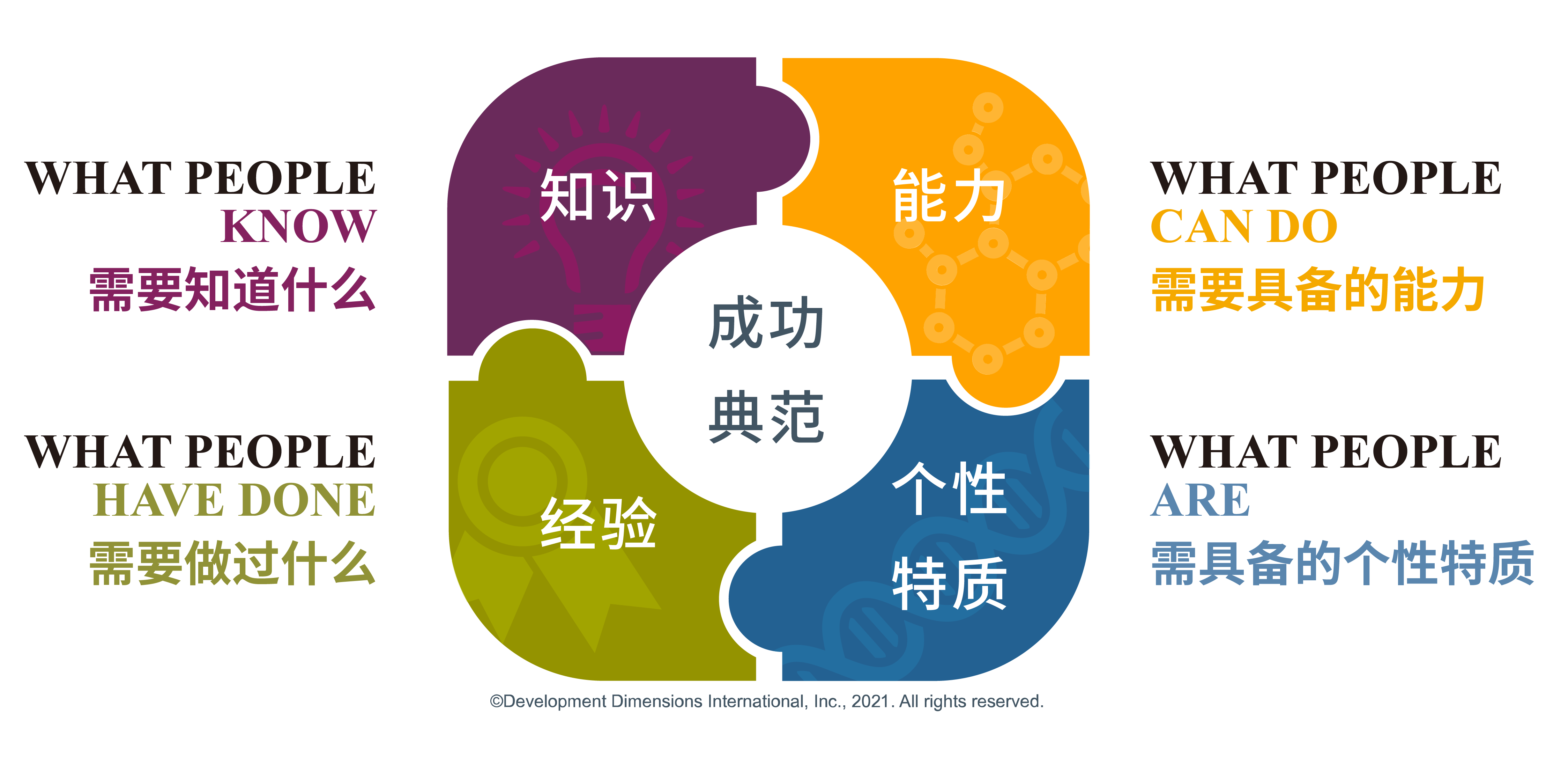 DDI成功典范模型：知識、能力、經驗和個性特質