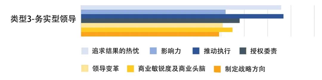 務(wù)實(shí)型領(lǐng)導(dǎo)技能成熟度.jpg
