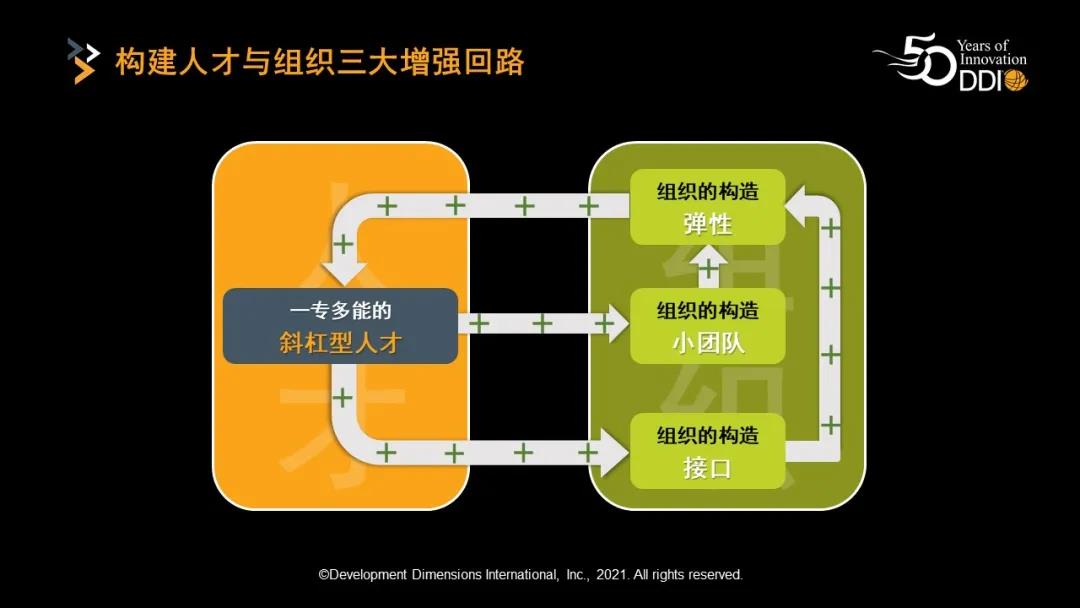 三大增強回路-斜杠型人才.jpg