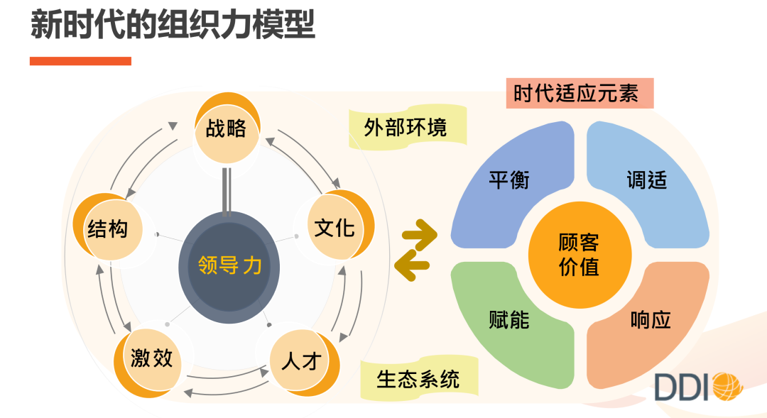 DDI組織力模型.png