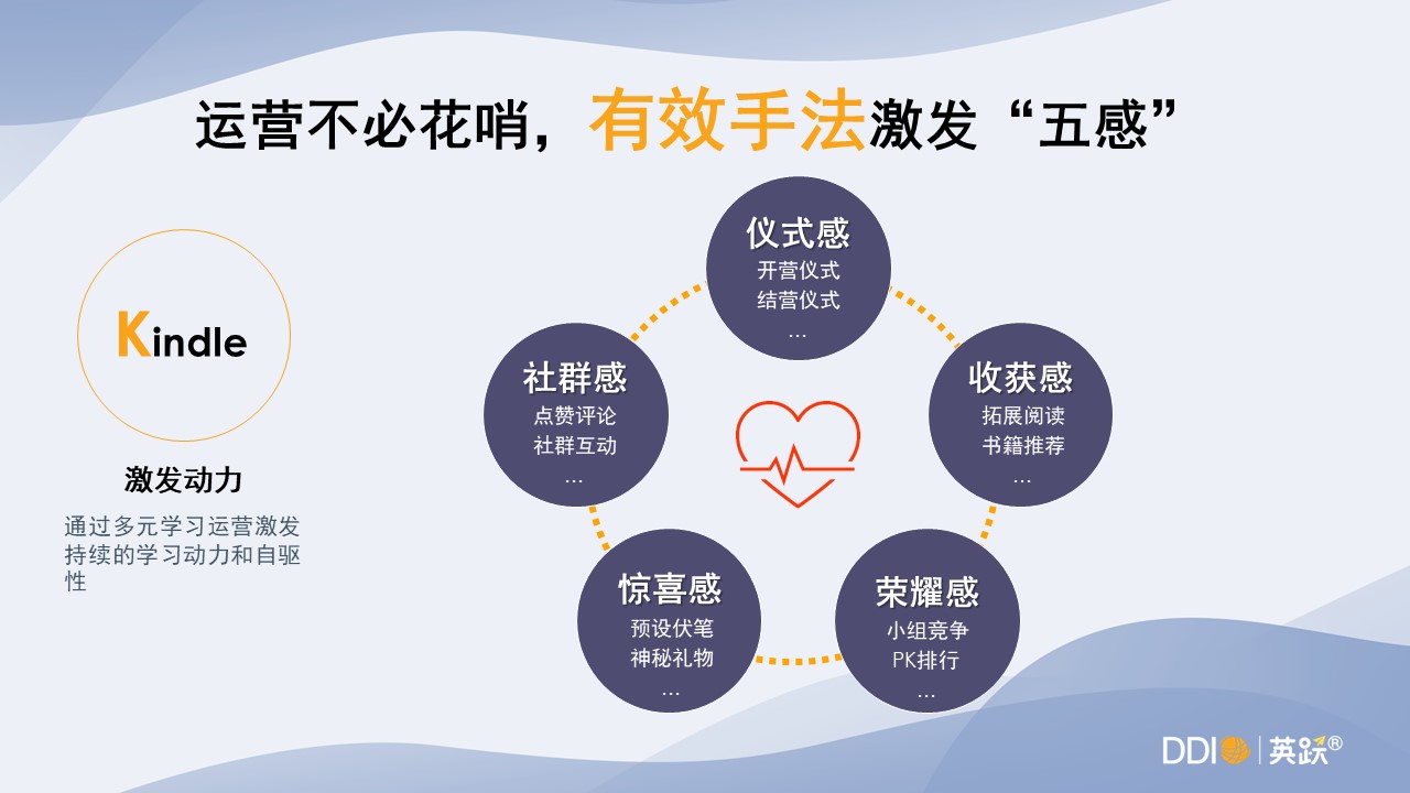 DDI學習運營