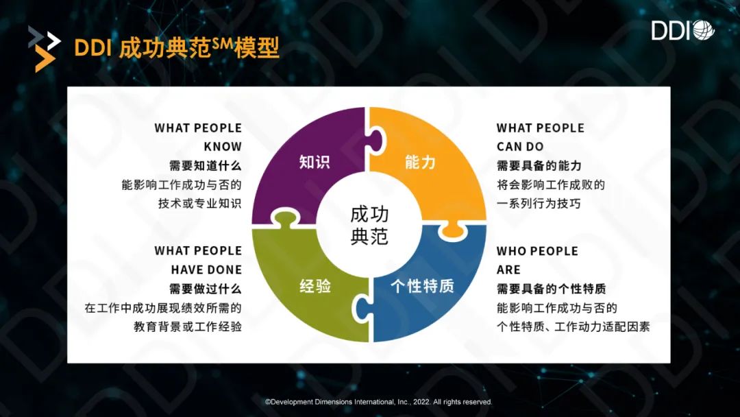 DDI成功典范.jpg