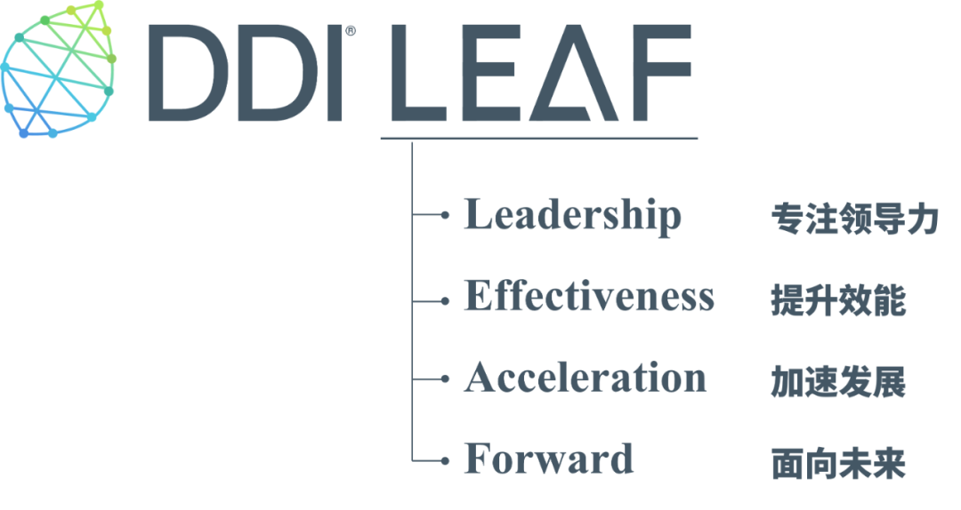 DDI LEAF價值釋義.png