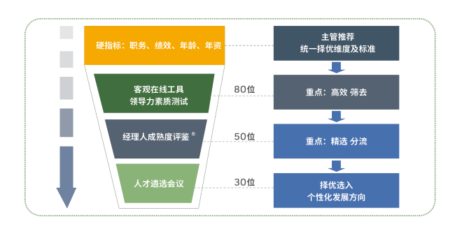 高潛人才遴選流程.png