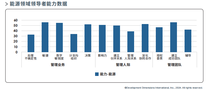 能源領域領導者能力數據.png